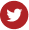 Twitter Logo